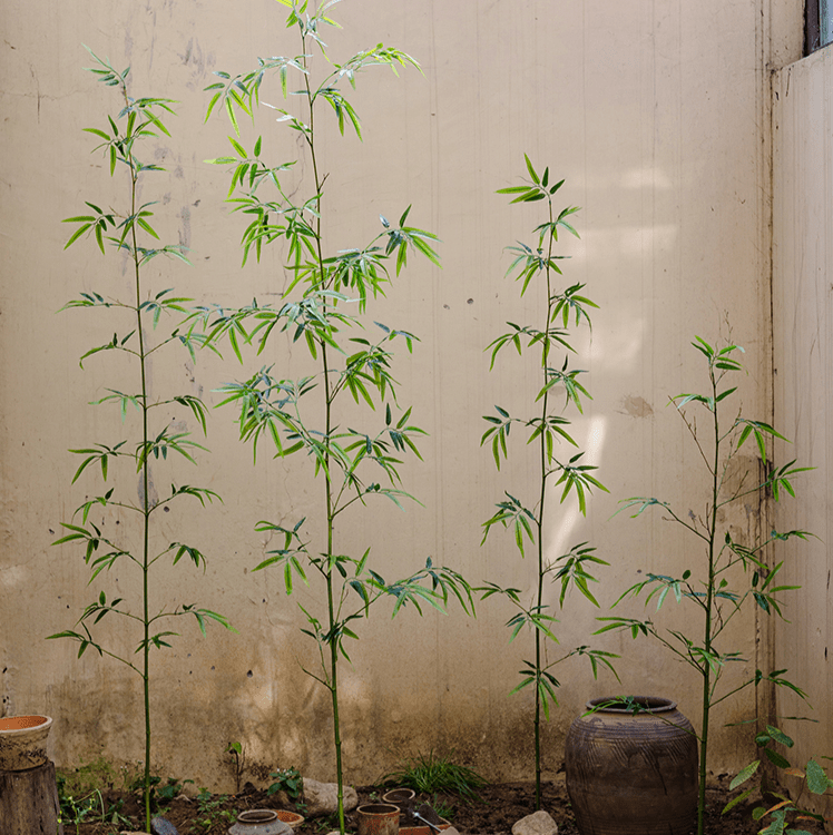 Artificial Bamboo Stem Faux Screen Plant Set of 10 - RusticReach