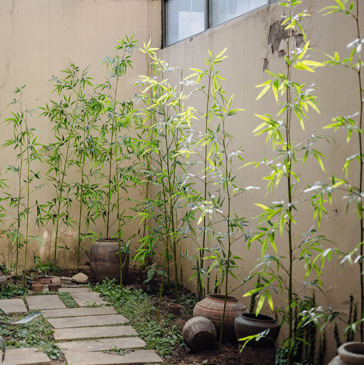 Artificial Bamboo Stem Faux Screen Plant Set of 10 - RusticReach