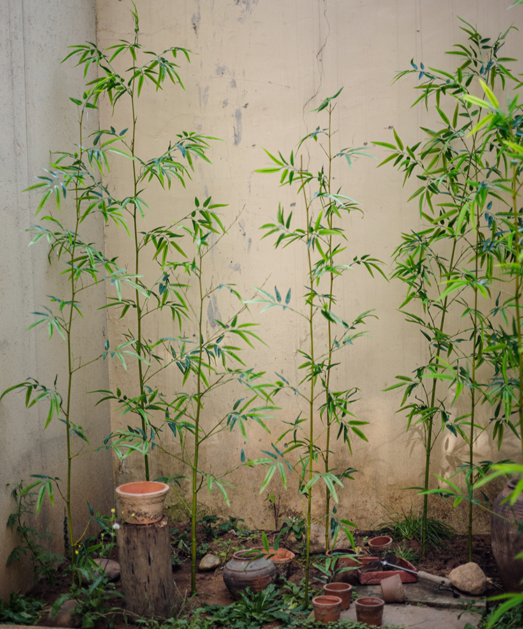 Artificial Bamboo Stem Bamboo Screen Set of 10