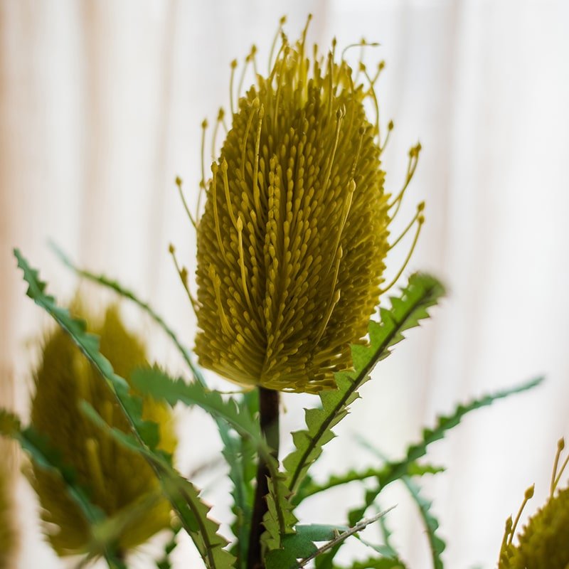 Faux Banksia Integrifolia Faux Flower 28" Tall Silk - RusticReach
