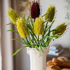 Faux Banksia Integrifolia Faux Flower 28" Tall Silk - RusticReach