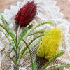 Faux Banksia Integrifolia Faux Flower 28" Tall Silk - RusticReach