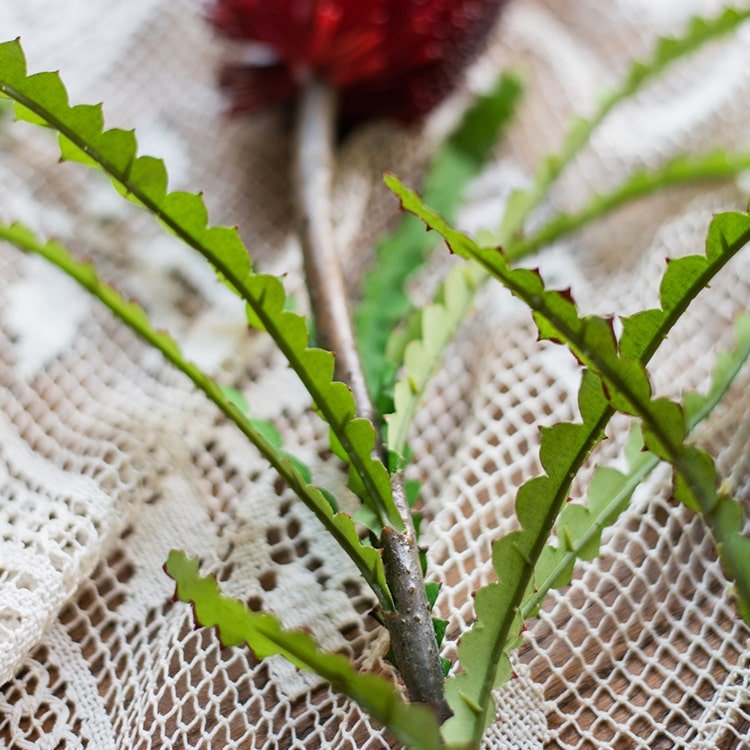 Faux Banksia Integrifolia Faux Flower 28" Tall Silk - RusticReach