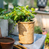 Basket Style Concrete Planter - RusticReach