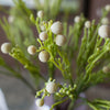 Artificial Berzelia Fruit Stem 24" Tall Faux - RusticReach
