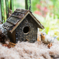 Birch Wood Decorative Bird House