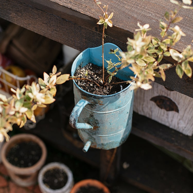 Rustic Blue Iron Flower Pot with Handle