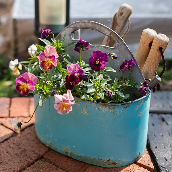 Blue Metal Basket Tool Organizer Flower Garden