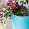 Blue Metal Basket Tool Organizer Flower Garden - RusticReach