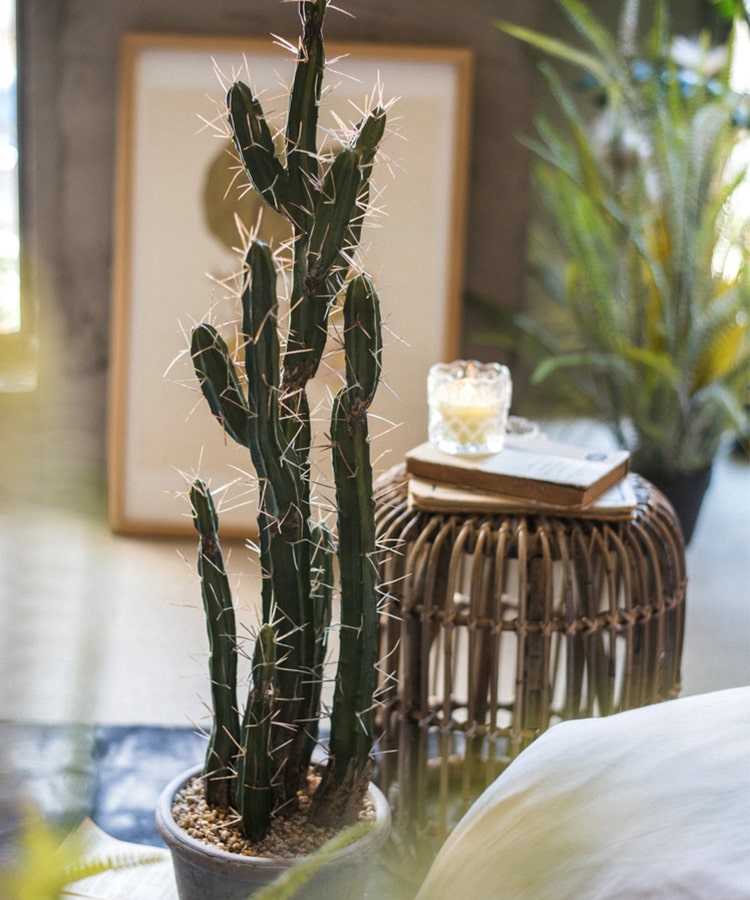 Artificial Plant Chihuahua Desert Cactus – RusticReach