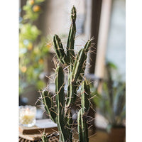 Artificial Plant Chihuahua Desert Cactus