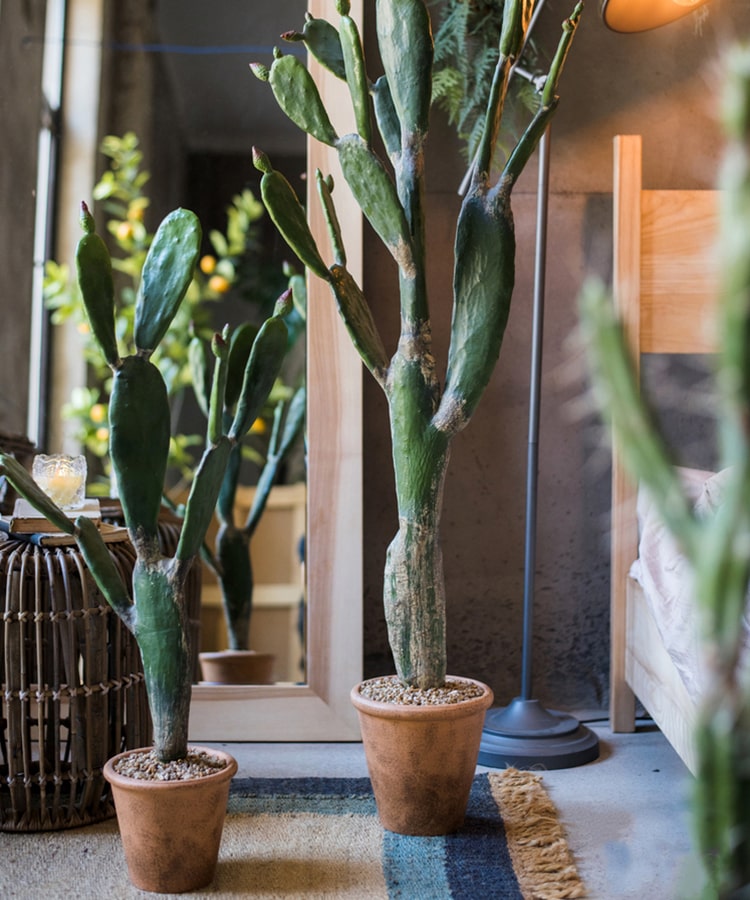Artificial Plant Morelos Cactus In Pot – RusticReach