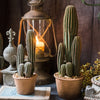 Artificial Faux Cactus in Brown Pot - RusticReach