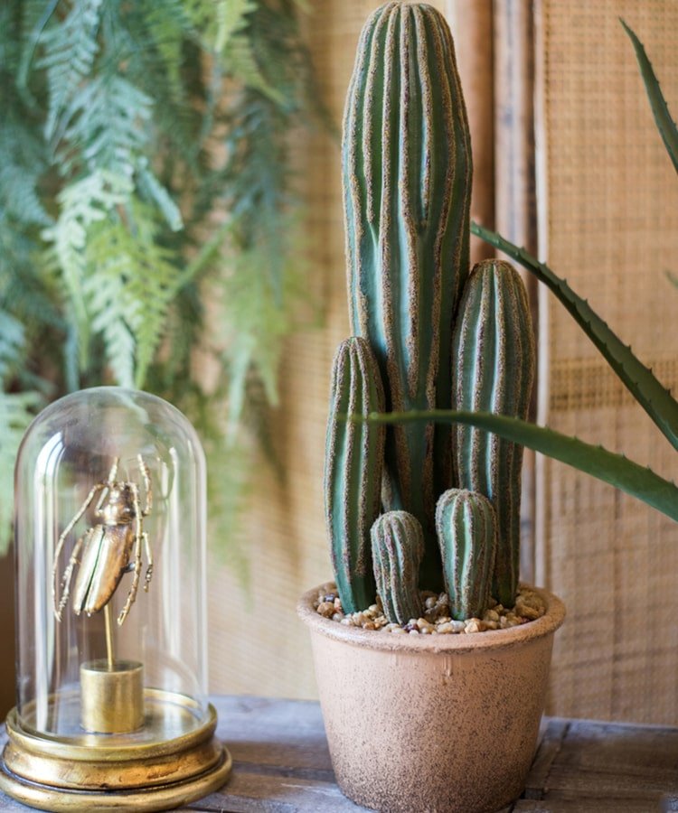 Artificial Faux Cactus in Brown Pot - RusticReach