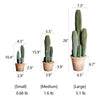 Artificial Faux Cactus in Brown Pot - RusticReach