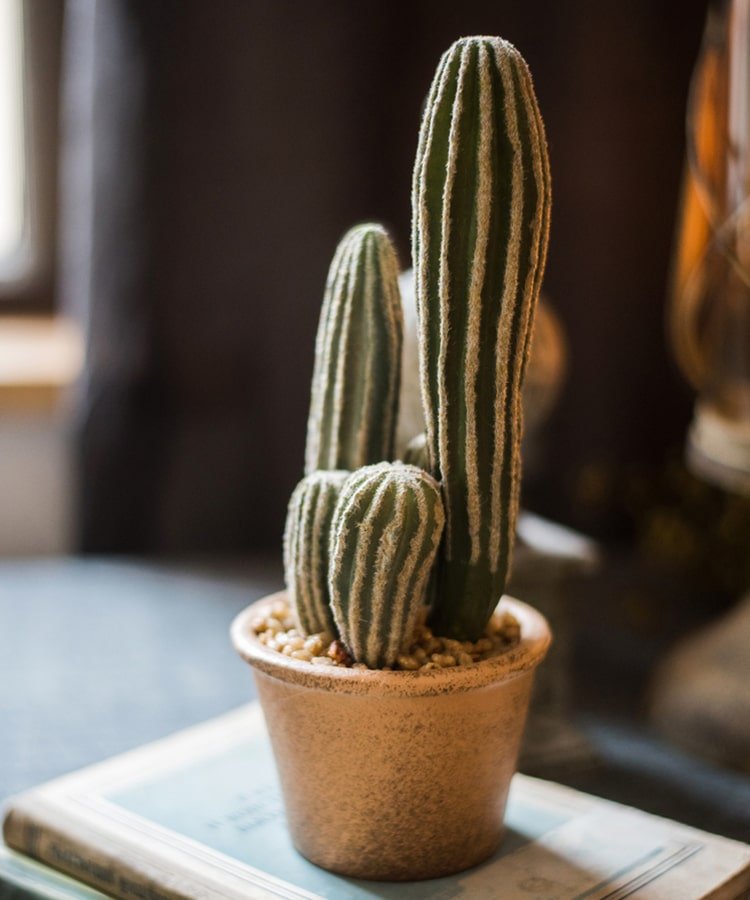 Artificial Faux Cactus in Brown Pot - RusticReach