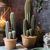 Artificial Faux Cactus in Brown Pot - RusticReach