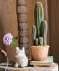 Artificial Faux Cactus in Brown Pot - RusticReach