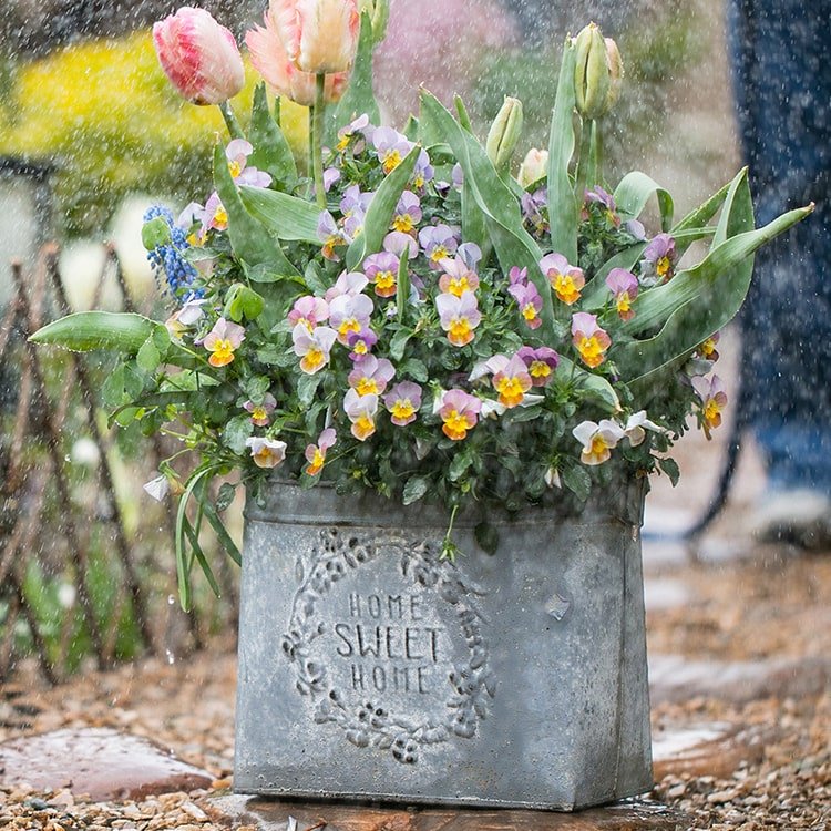 Iron Carry Flower Pot Gray Sweet Home - RusticReach