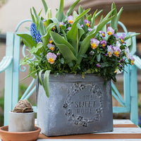 Iron Carry Flower Pot Gray Sweet Home