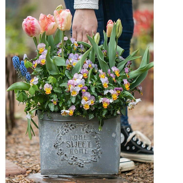 Iron Carry Flower Pot Gray Sweet Home - RusticReach