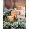 Birch Wood Candle Holder Tea Light Holder in Various Sizes - RusticReach