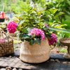 Cement Weaving Pattern Plants Container or Planter - RusticReach