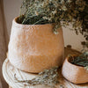 Cement Weaving Pattern Plants Container or Planter - RusticReach