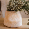 Cement Weaving Pattern Plants Container or Planter - RusticReach