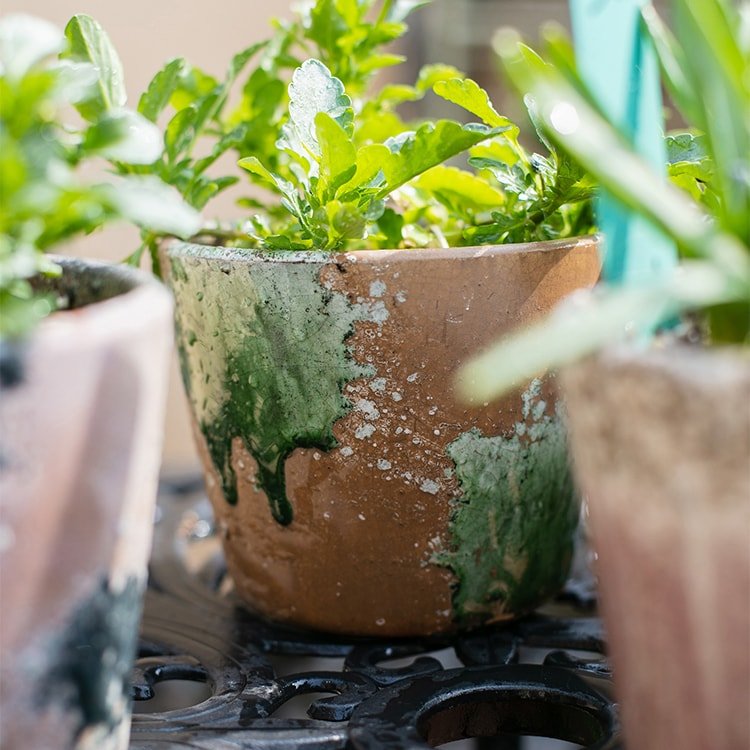 Colorful Terracotta Pot - RusticReach
