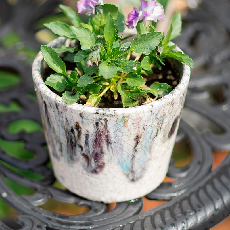 Colorful Terracotta Pot