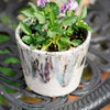 Colorful Terracotta Pot - RusticReach