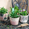 Colorful Terracotta Pot - RusticReach