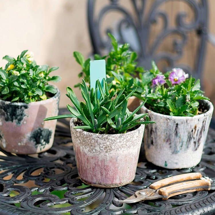Colorful Terracotta Pot - RusticReach
