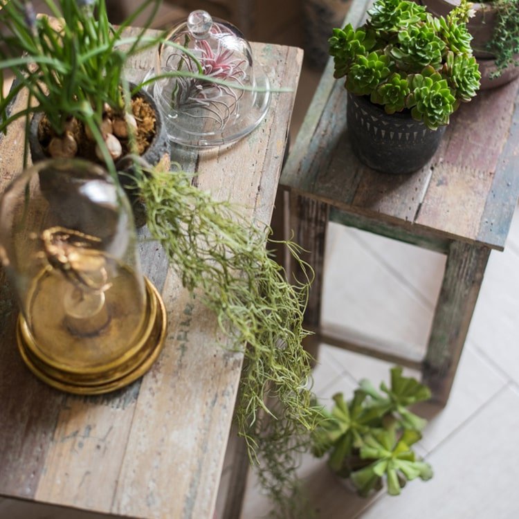 Colorful Solidwood Plant Stand Side Table - RusticReach
