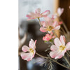 Faux Silk Cosmos Stem in Light Pink 24" Tall - RusticReach