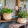 Craft Paper Bag Style Concrete Hanging Pot - RusticReach