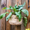 Craft Paper Bag Style Concrete Hanging Pot - RusticReach