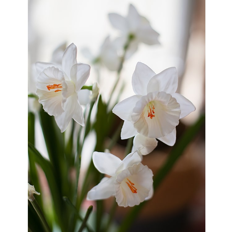 Faux Silk White Faux Daffodil Flower Stem 19" Tall
