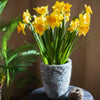 Artificial Silk Yellow Faux Daffodil Flower Stem 19" Tall - RusticReach