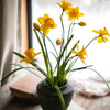 Artificial Silk Yellow Faux Daffodil Flower Stem 19" Tall - RusticReach