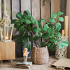 Artificial Faux Large Dans Leaf Stem Plant - RusticReach