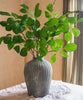 Artificial Faux Large Dans Leaf Stem Plant - RusticReach