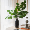 Artificial Faux Large Dans Leaf Stem Plant - RusticReach