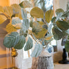 Artificial Faux Large Dans Leaf Stem Plant - RusticReach