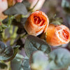 Faux Artificial Flower Dry Rose Stem Champagne or Orange 23" Tall - RusticReach