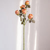 Faux Artificial Flower Dry Rose Stem Champagne or Orange 23" Tall - RusticReach