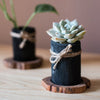 Desktop Charcoal Planter Wood Tray - RusticReach