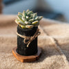 Desktop Charcoal Planter Wood Tray - RusticReach