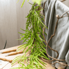 Artificial Ferns Vine Stem 39" Long - RusticReach